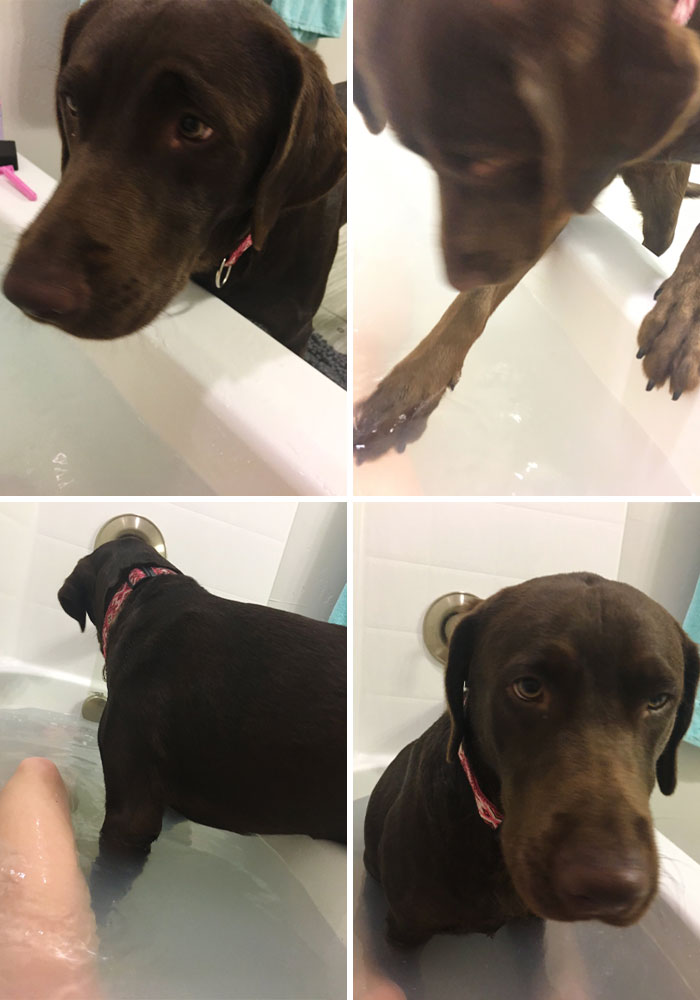 05-11-31-16526898851723995593