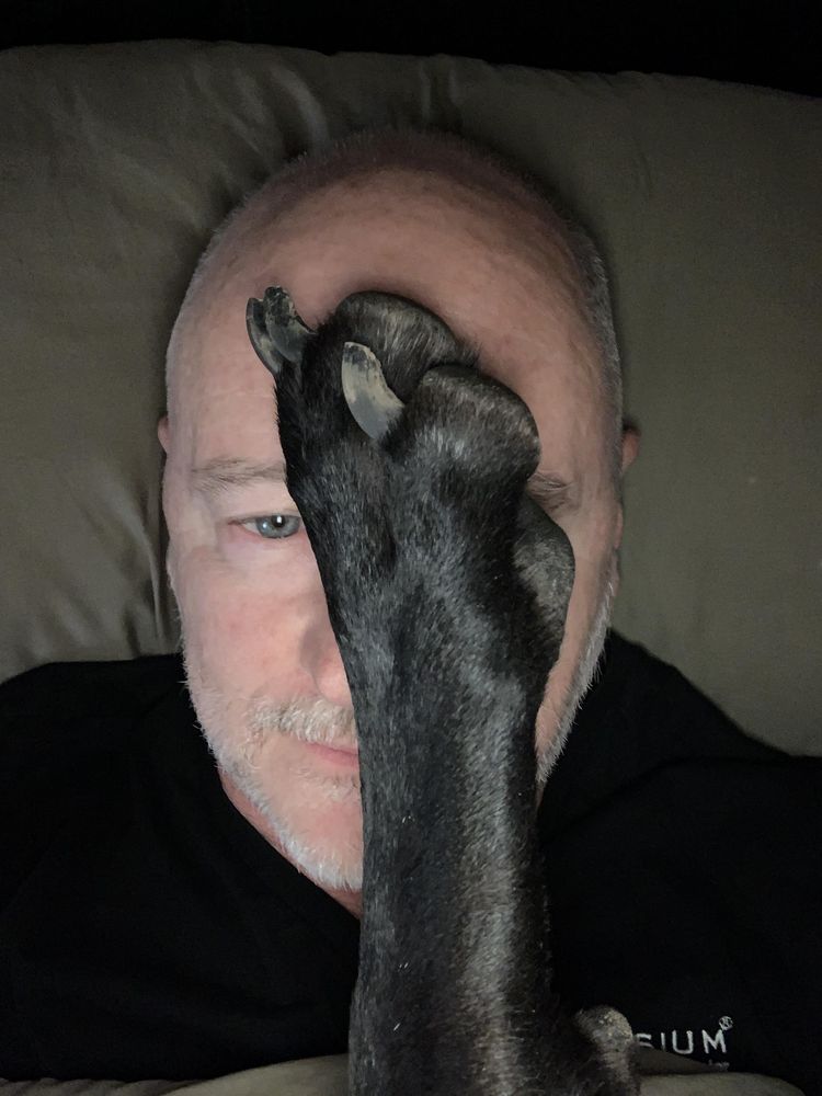 05-11-31-1652689912349369603