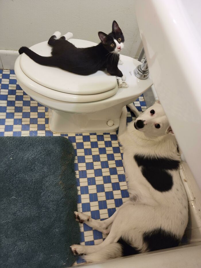 05-11-32-16526899201461990372