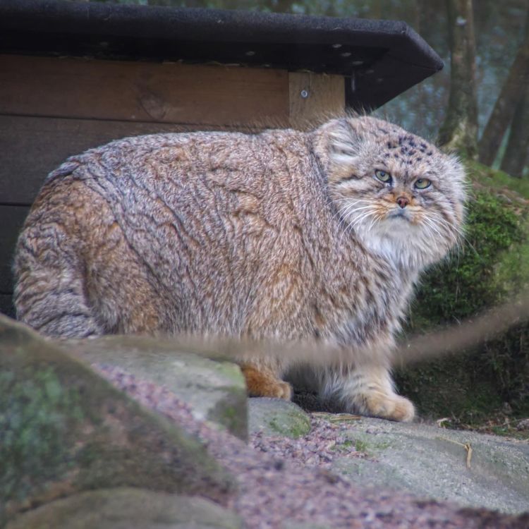 05-11-47-1652777244455586358