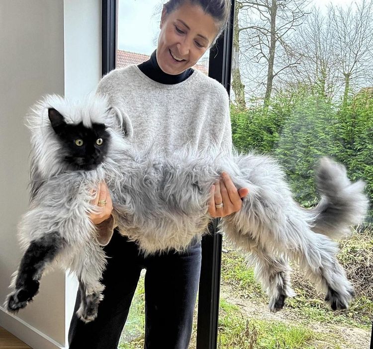 05-11-48-16527772951629987616