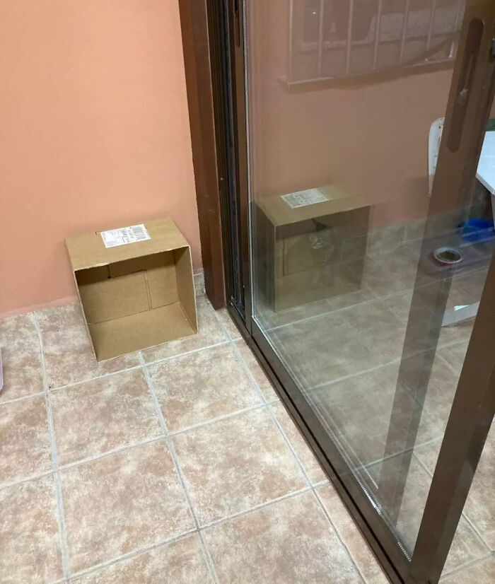 05-11-50-16533822171953920757