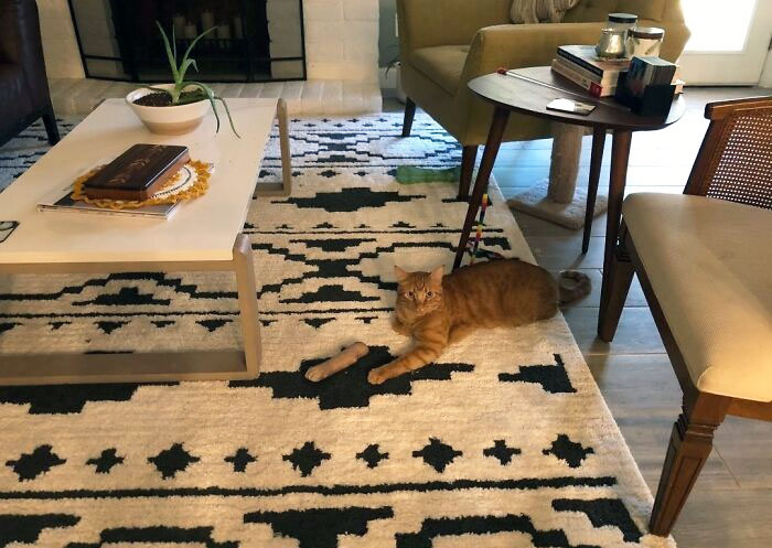 05-11-50-16533822461042705395