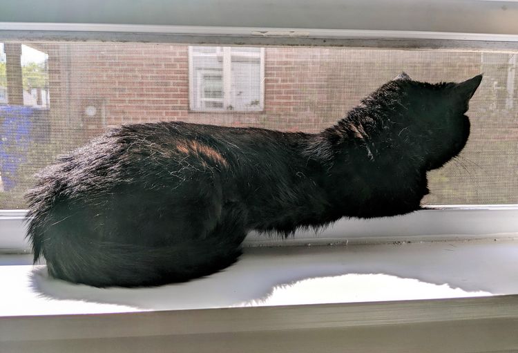 05-11-51-1653382299239031711