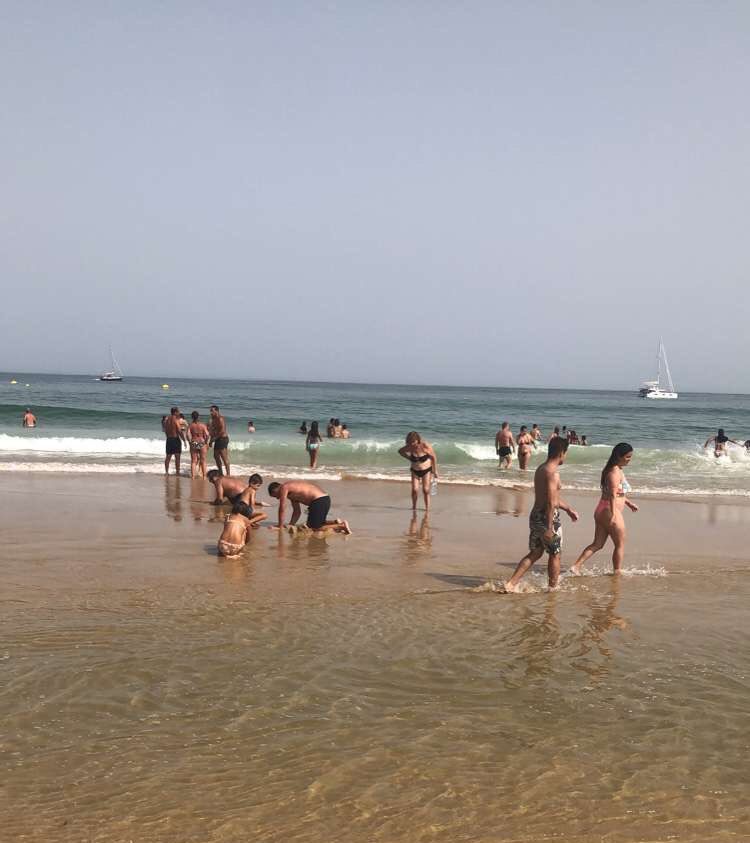 05-11-57-1653469063270514172