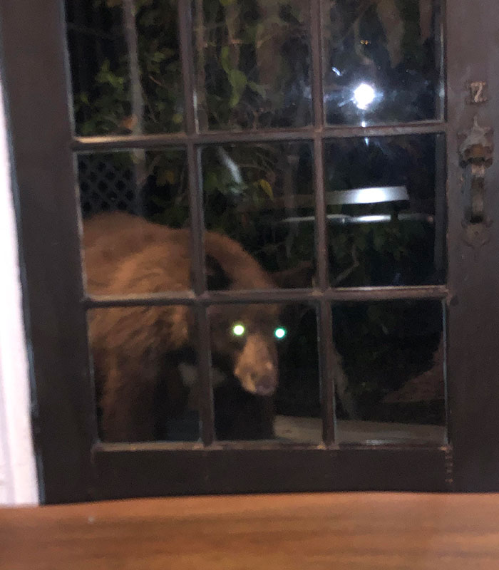 05-12-12-16516555351555944882