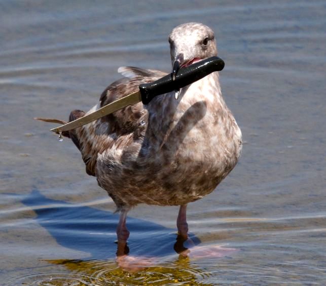 05-12-13-16516556081747941289