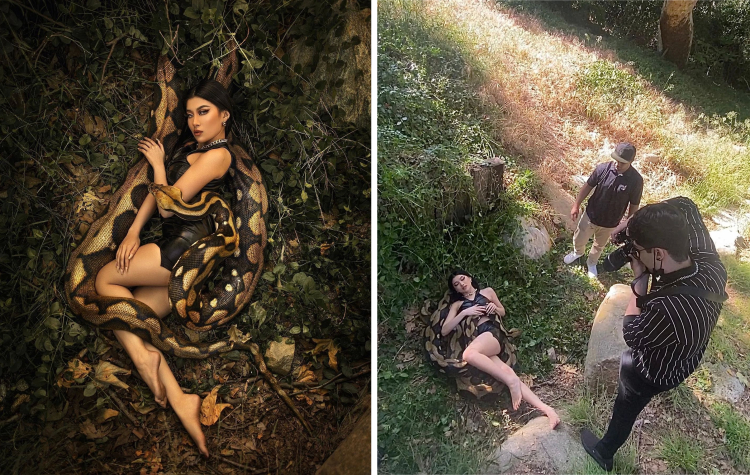 05-12-21-16529520871779536705