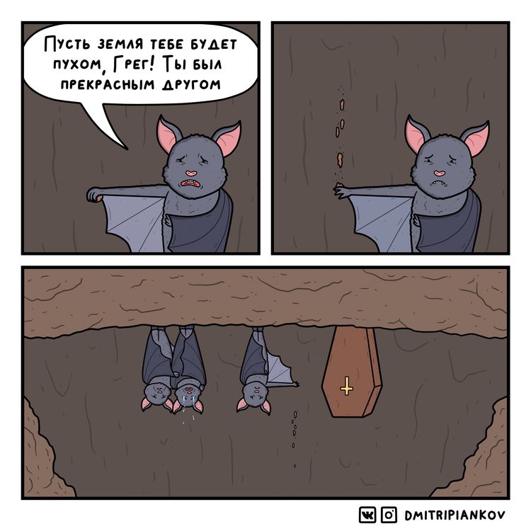 05-12-33-165269361341758263