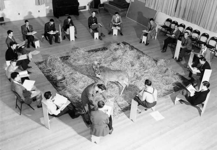 05-13-06-165278198899303269