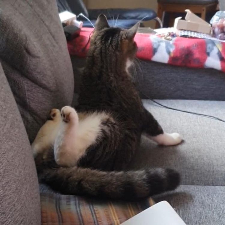 05-13-21-1652869315173023247