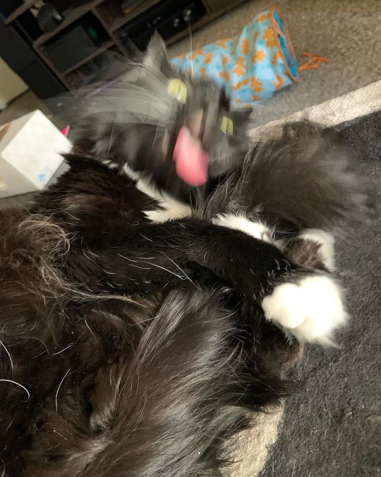 05-13-22-1652869320474598978