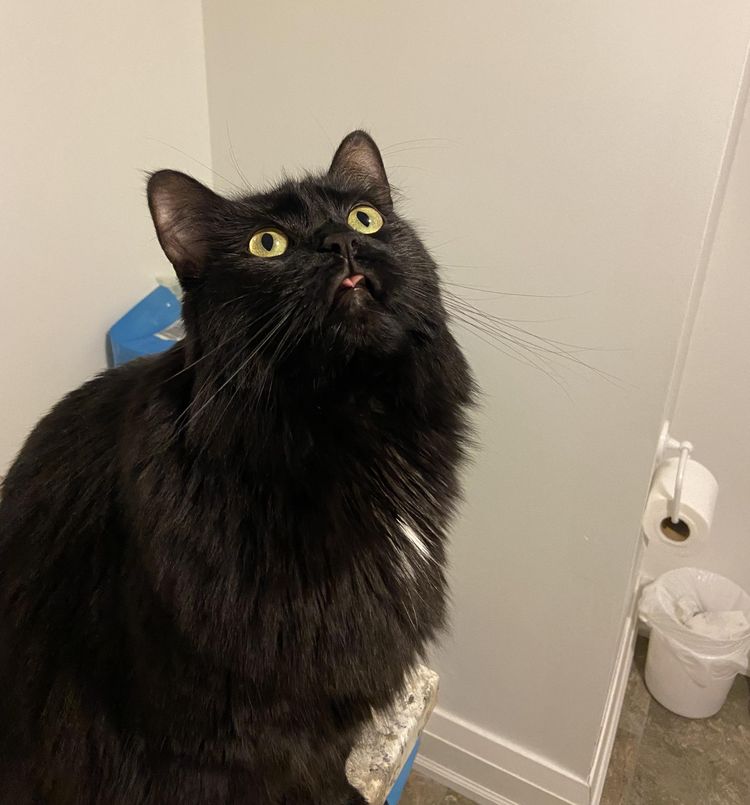 05-13-22-1652869323118348244