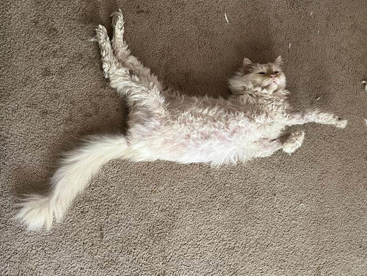 05-13-22-16528693261504981300