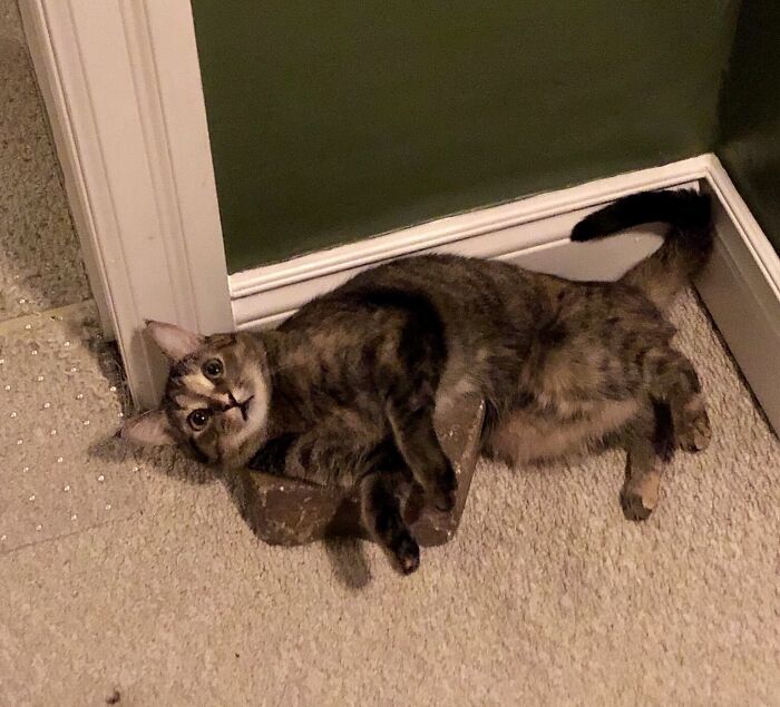 05-13-22-1652869329453937487