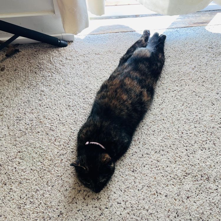 05-13-22-1652869333276798246