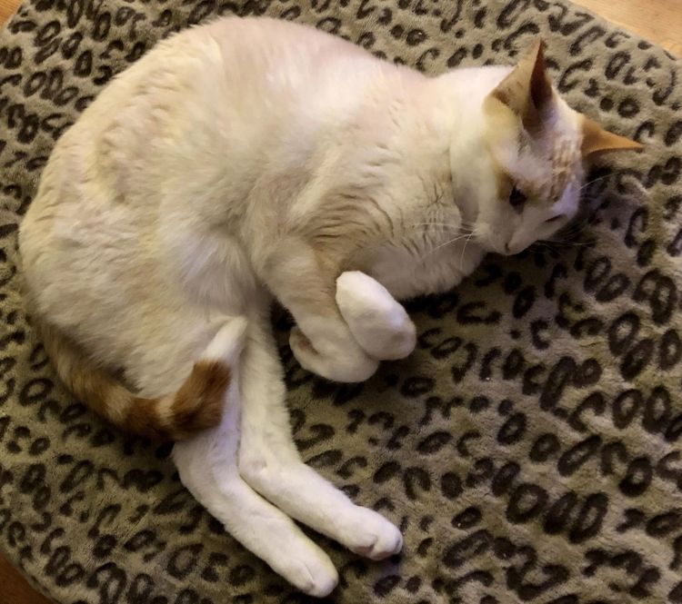 05-13-22-1652869336419992346