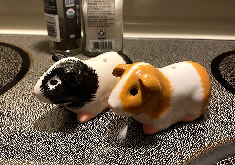 05-13-22-16534741681294969463