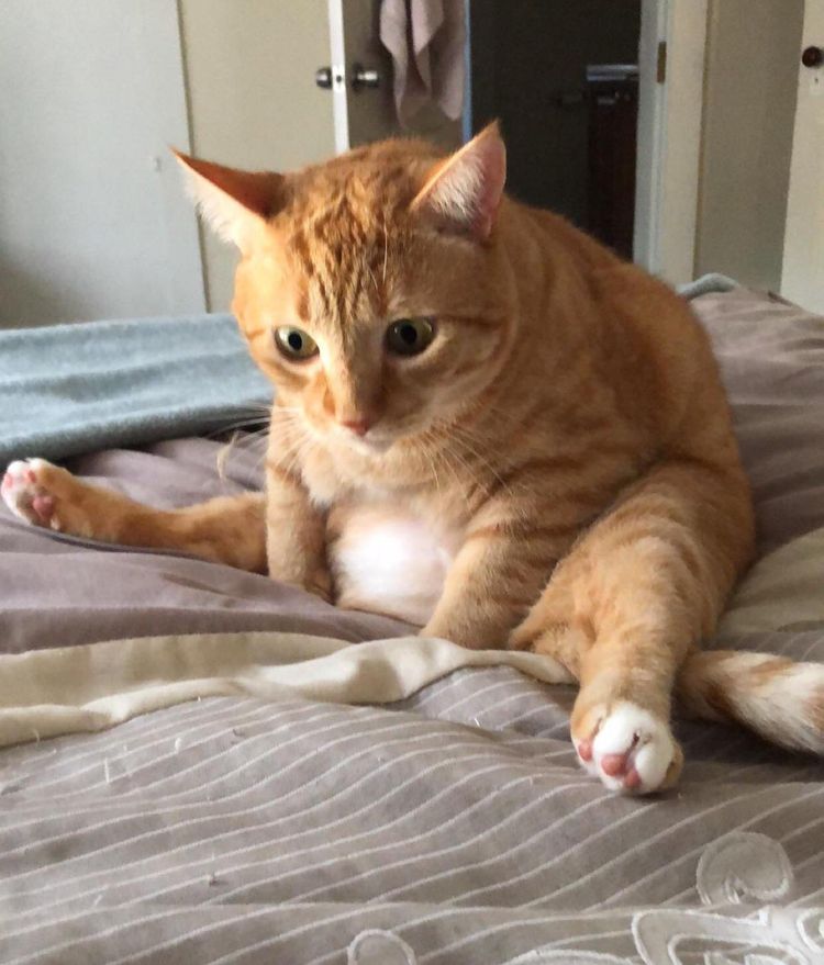 05-13-23-1652869397545077520