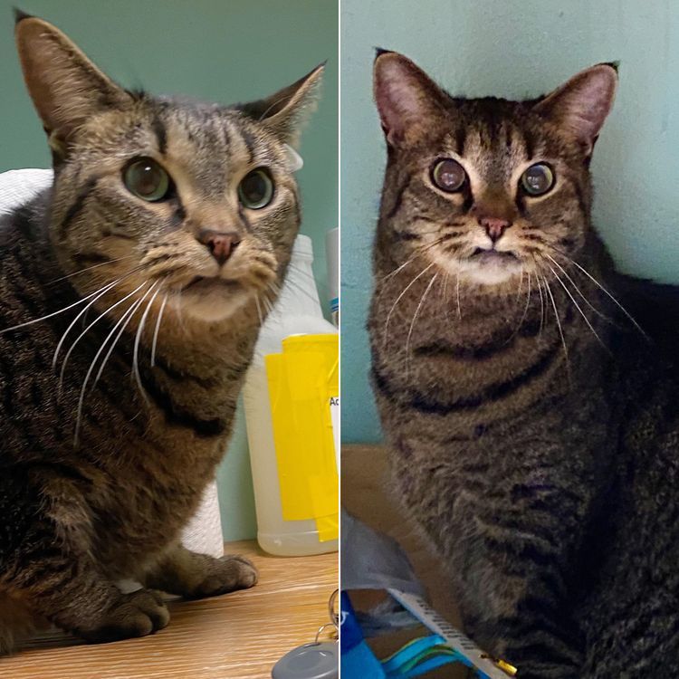 05-13-23-16528694201345861322