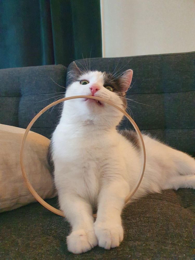 05-13-23-16528694261478177614