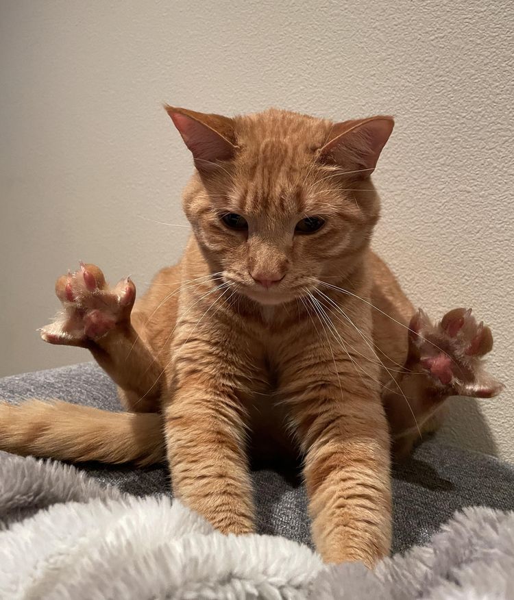 05-13-23-1652869430839118320