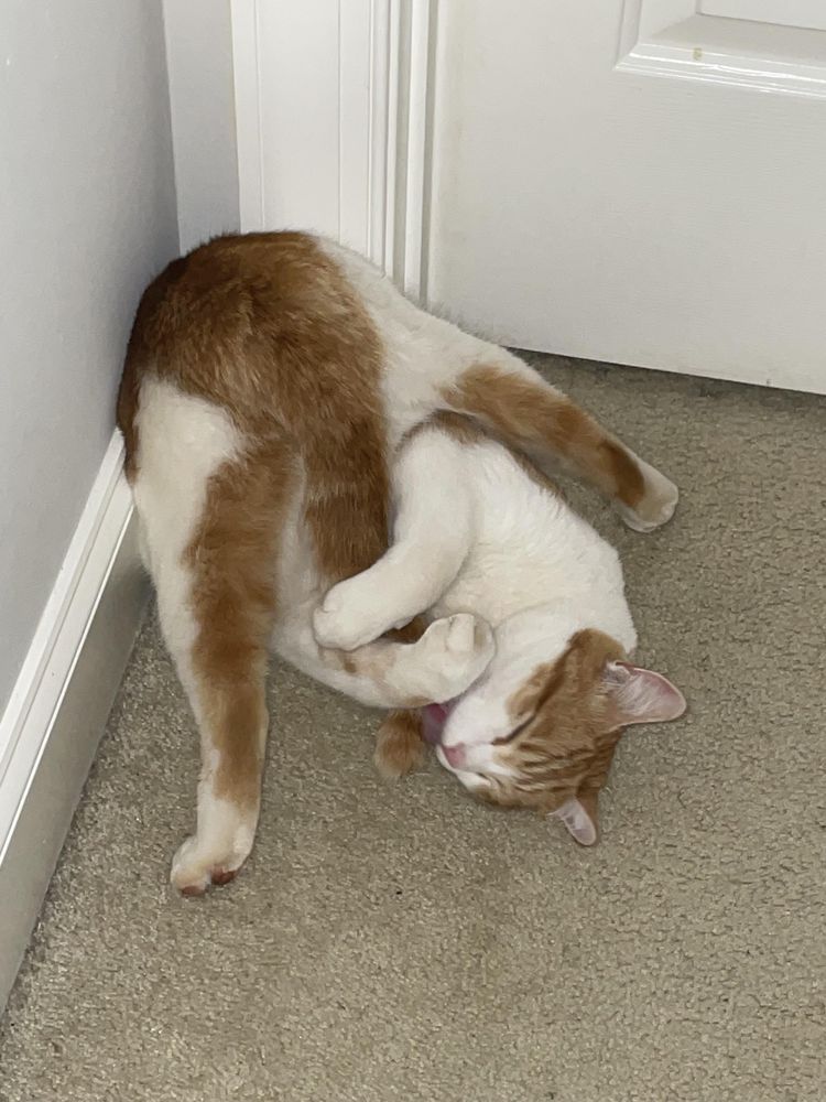 05-13-23-16528694331791445709