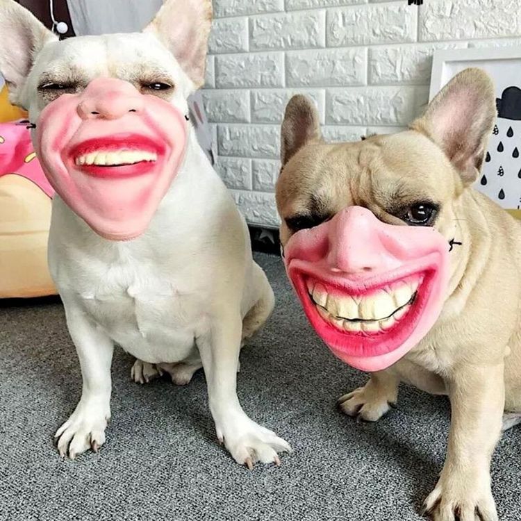 05-13-23-16534741881963015505