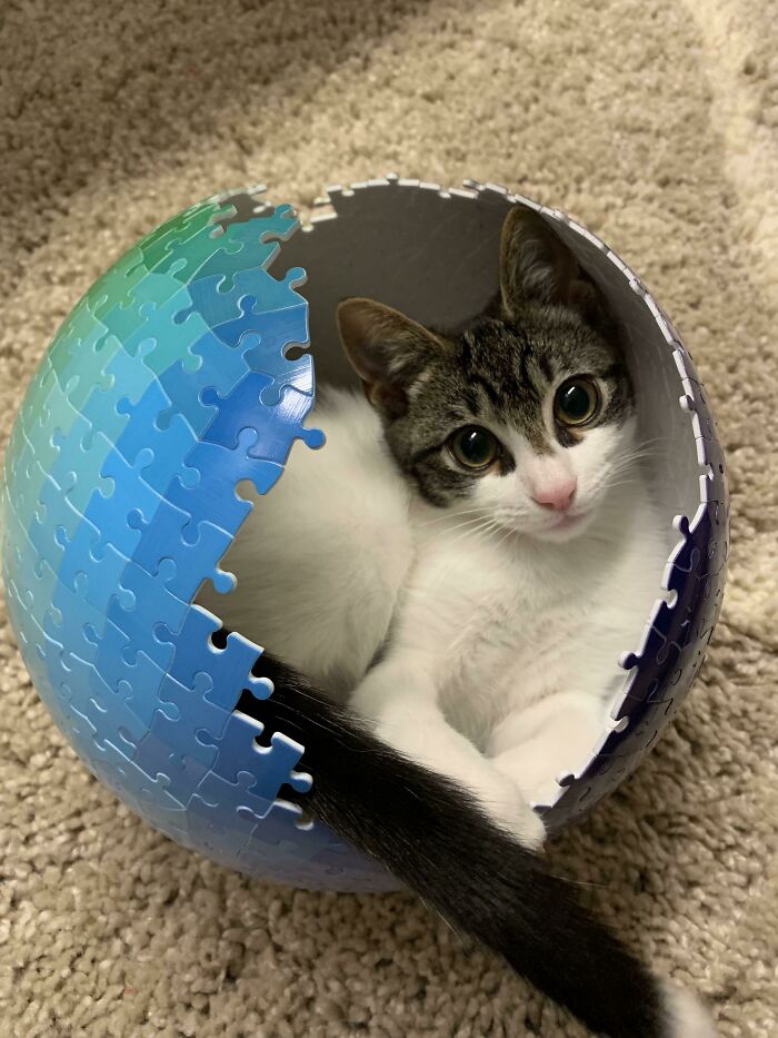 05-13-36-165166060859528710