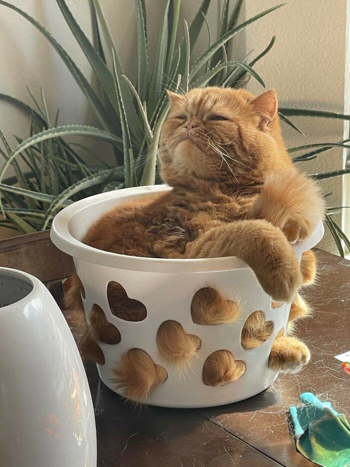 05-13-36-16516606141169536165