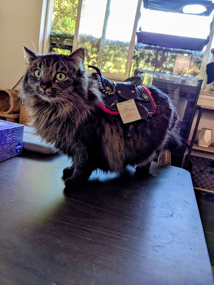 05-13-36-1653647771739040888