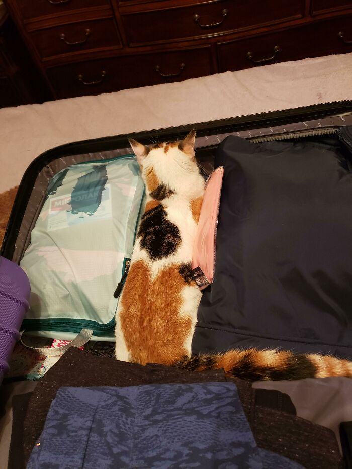 05-13-37-165166063352746003