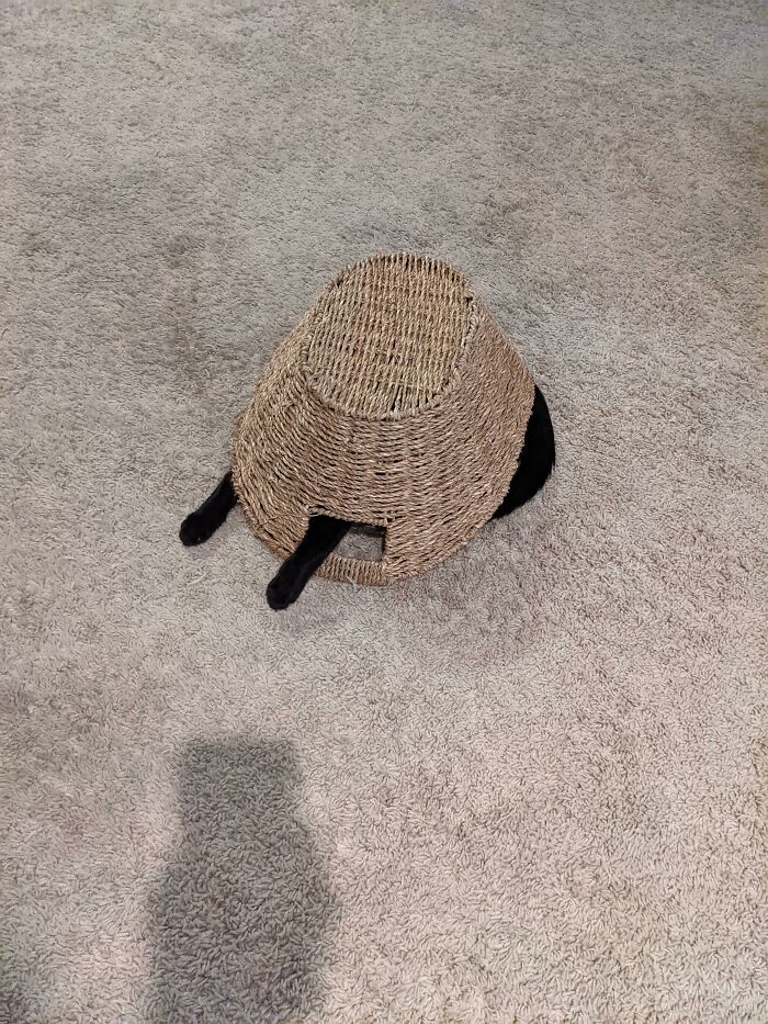 05-13-37-16516606441394350589