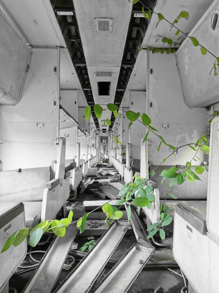 05-13-39-16539935819280964