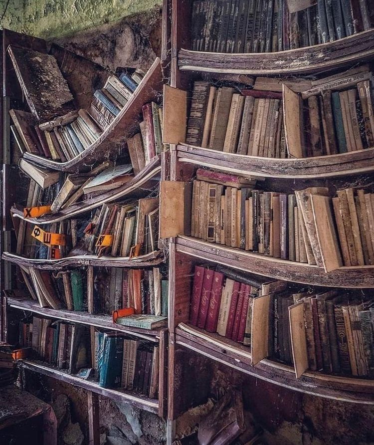 05-13-44-16539938611777469651