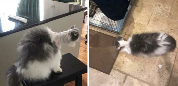 05-14-33-1651836821765965175