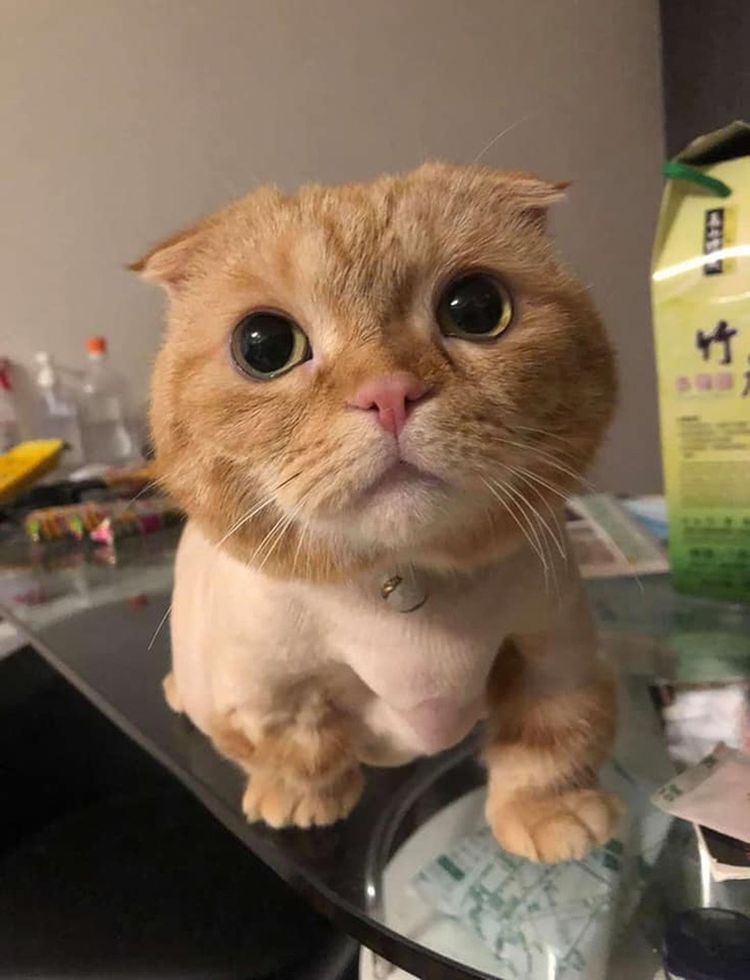 05-14-33-16518368311891376798