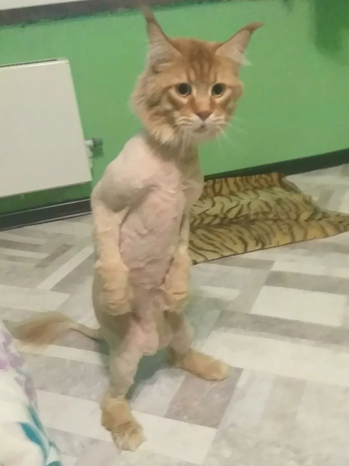 05-14-34-16518368442031468845