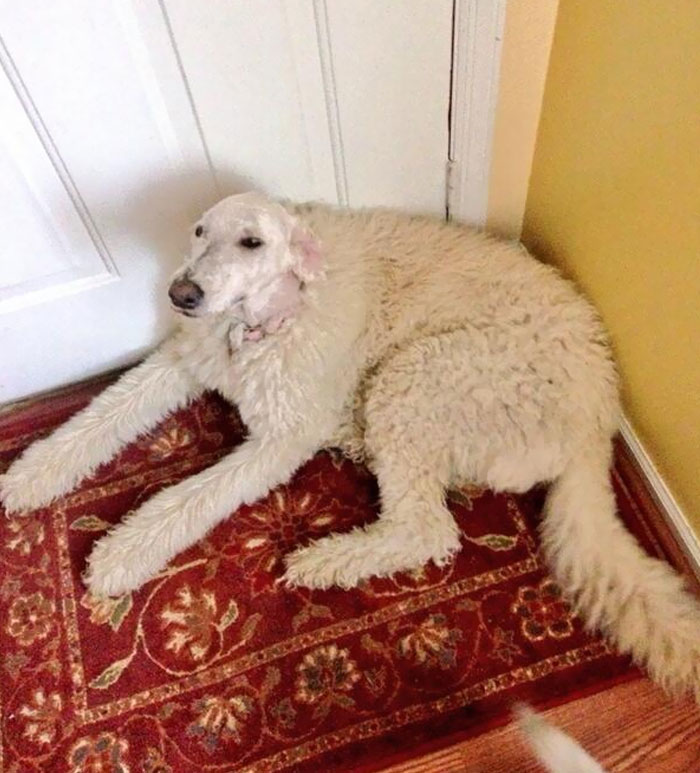 05-14-34-16518368471327736485