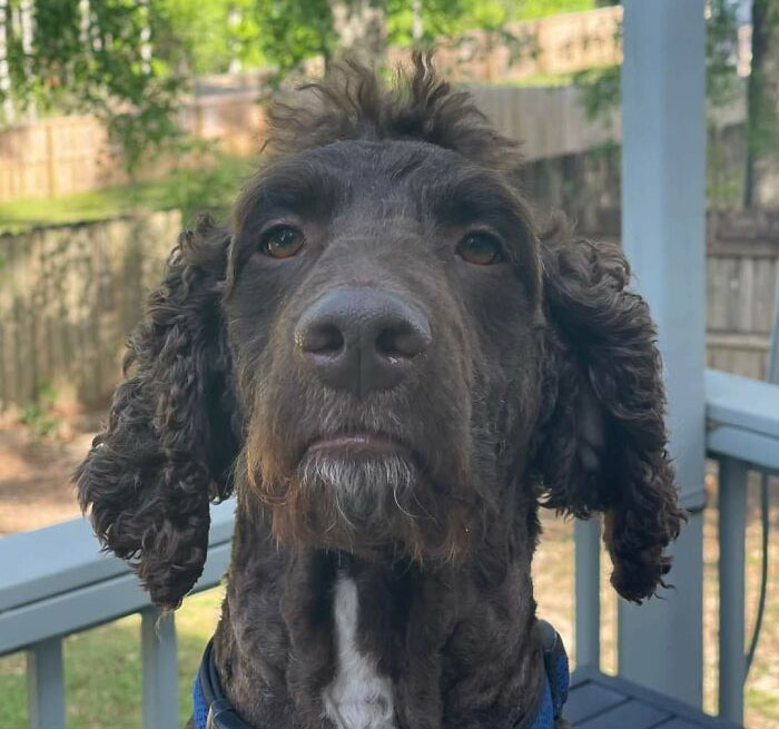 05-14-34-1651836864516119409