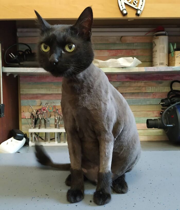 05-14-34-16518368701562649200