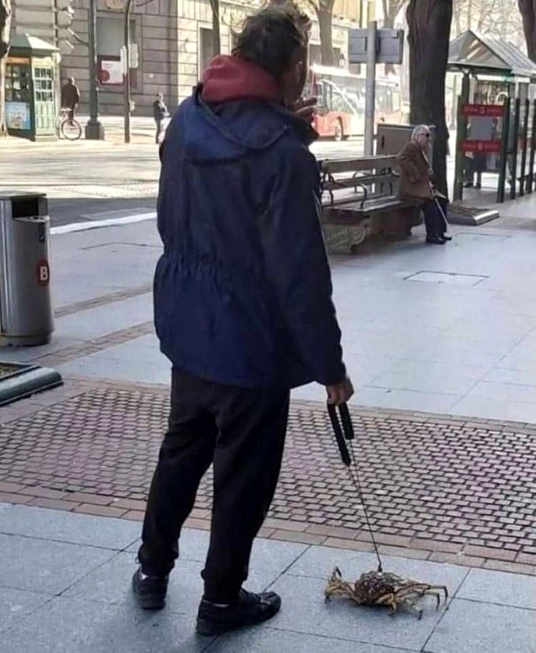 05-15-16-16517529601491858650