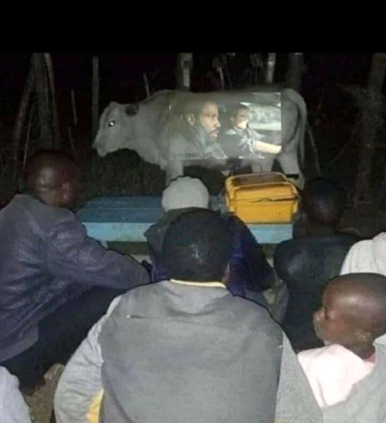 05-15-16-16517529671332576301