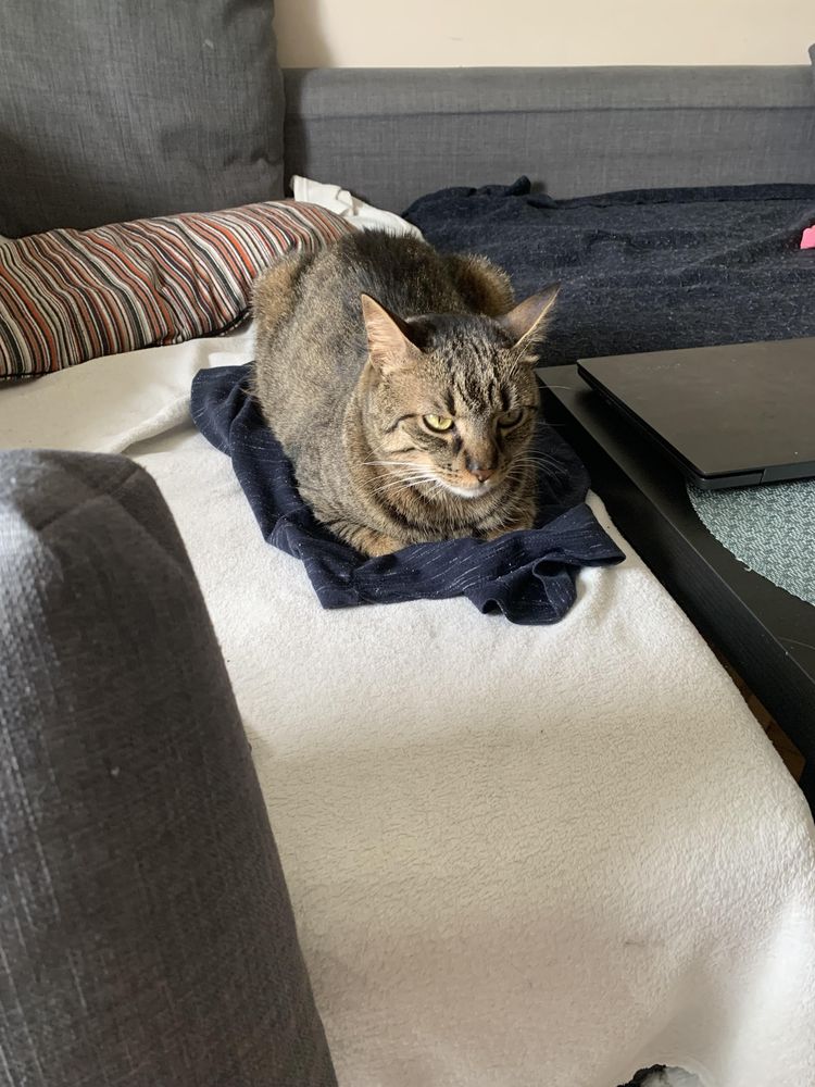 05-15-55-16533969021692970978