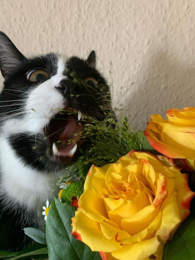 05-15-55-16533969041516761970