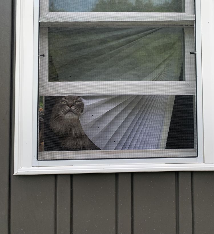 05-15-55-16533969091128416515