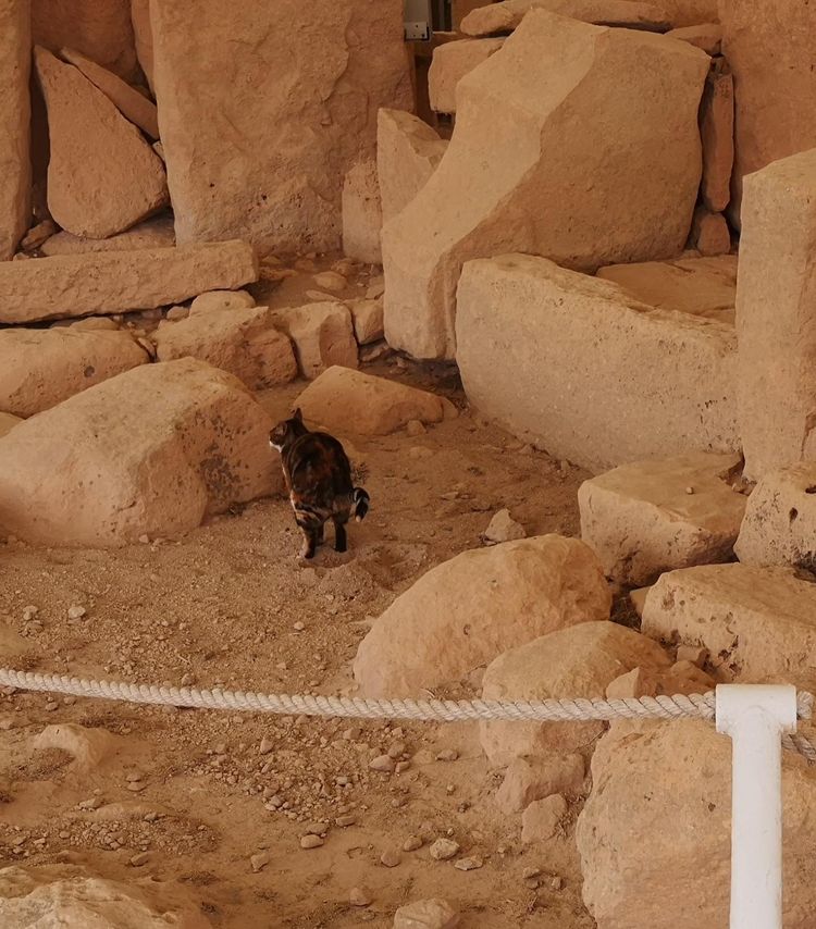 05-15-55-16533969162024419714