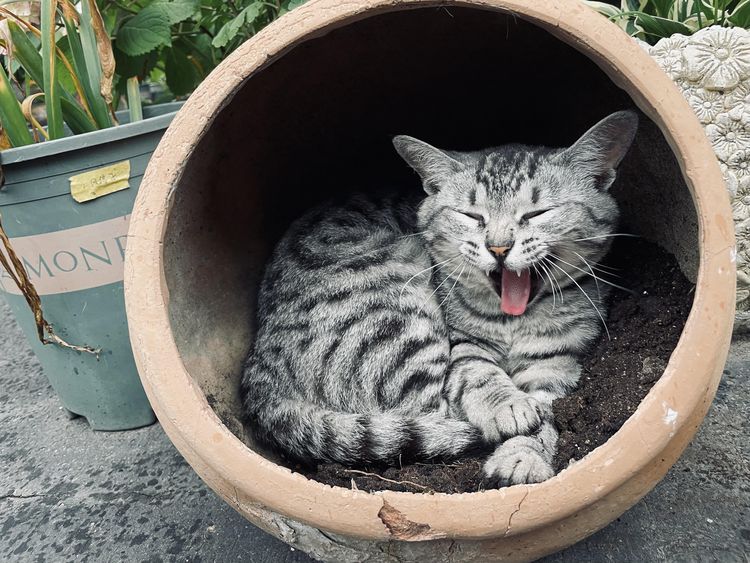 05-15-55-1653396920979370358