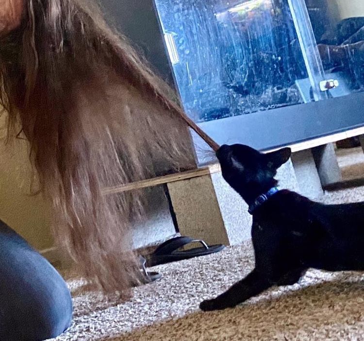 05-15-55-1653396940540558069