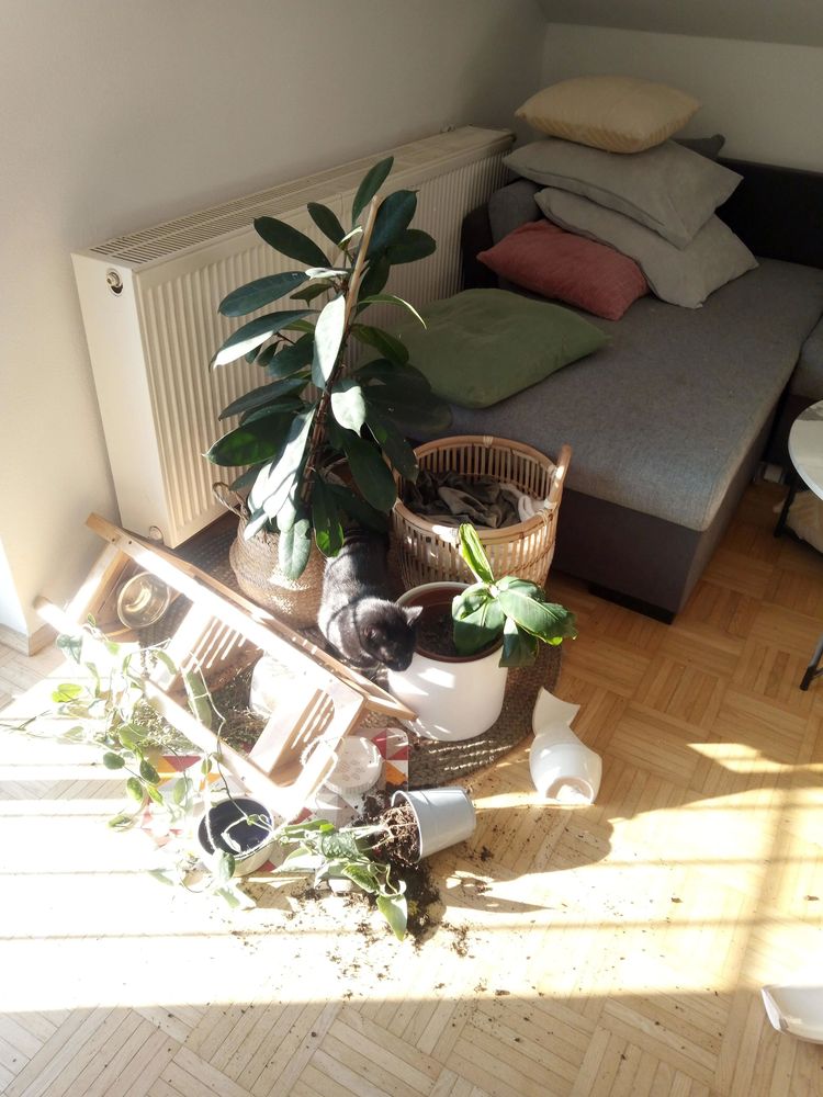 05-15-55-1653396944198596939